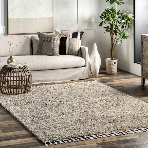 Nuloom Neva Modern Tasseled Shag Area Rug 5ft KKBL01D-S505 - main